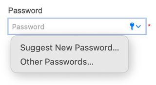 Safari password