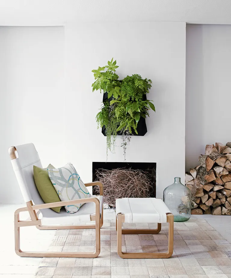 Wall decor ideas with houseplant on the wall