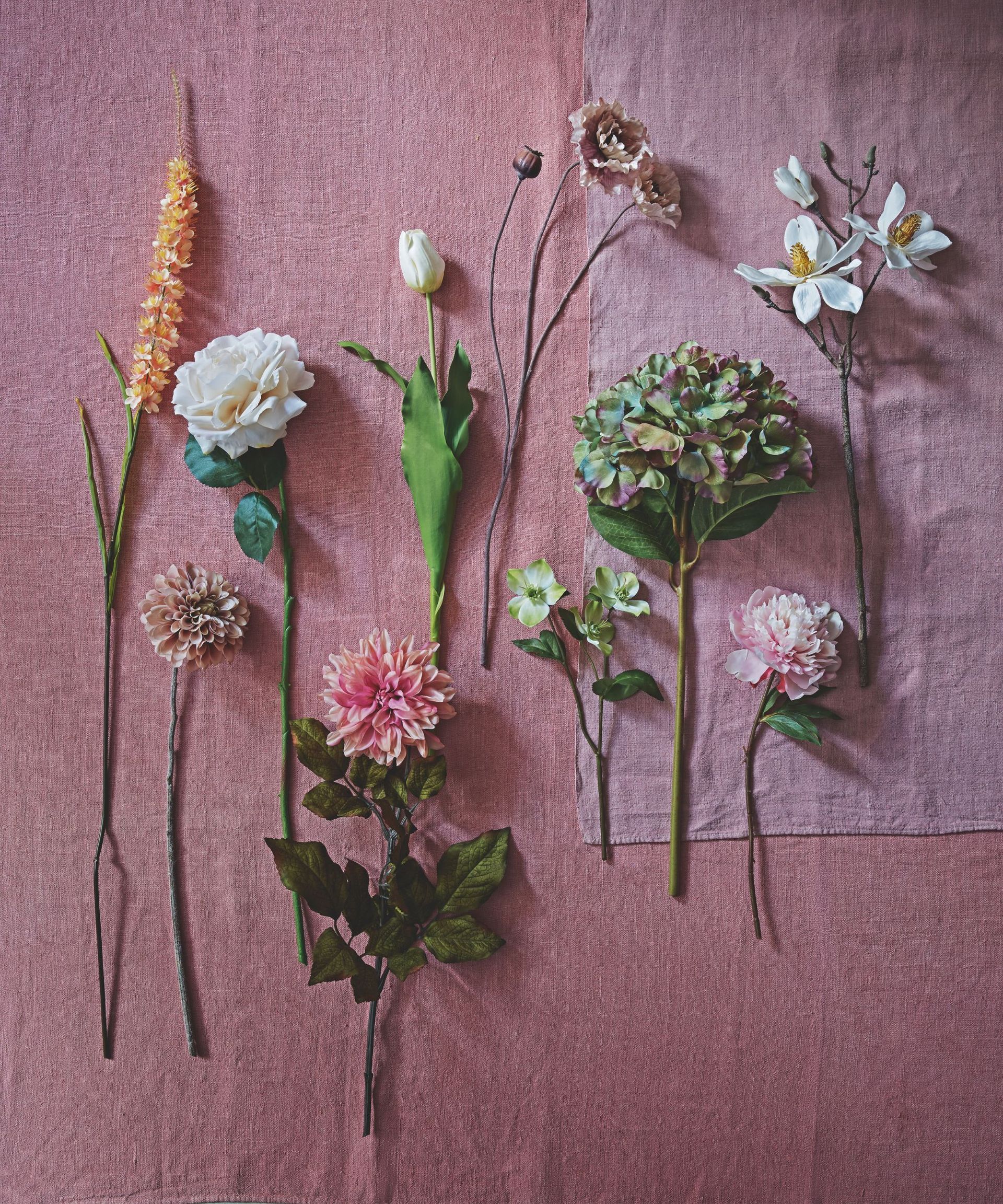 Selection of individual flower stems laid out on a pink piece of fabric