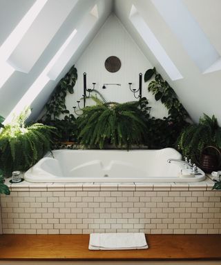bathroom ceiling with skylights and big bathtub with ferns and vines