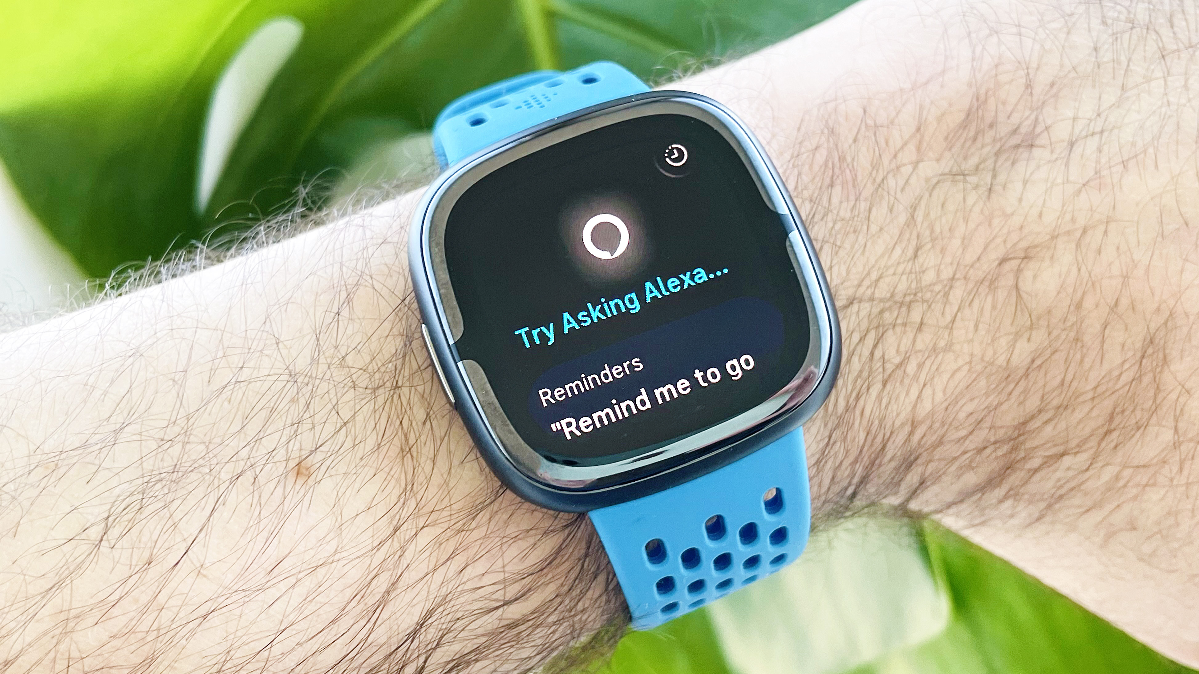Fitbit Sense 2 on a user's wrist with the Amazon Alexa app shown
