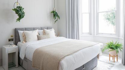 White bedroom with double bed and hanging plants on both sides