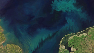 For 21 years, scientists have been tracking changes in ocean color with the Moderate Resolution Imaging Spectroradiometer (MODIS) aboard the Aqua satellite.