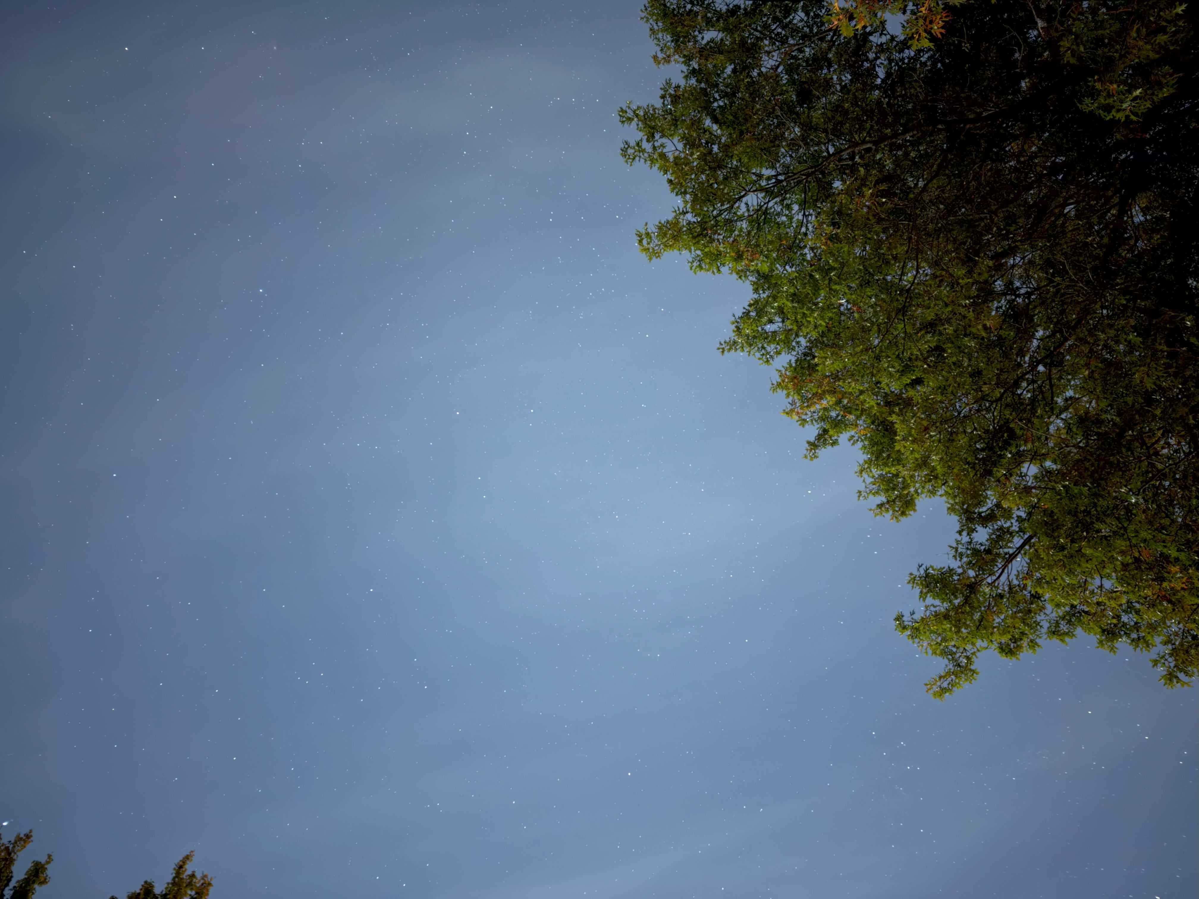 Apple iPhone 17 Pro astrophotography sample.