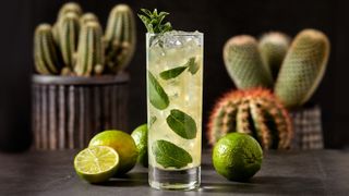 LoneWolf Cactus & Lime Mojito cocktail