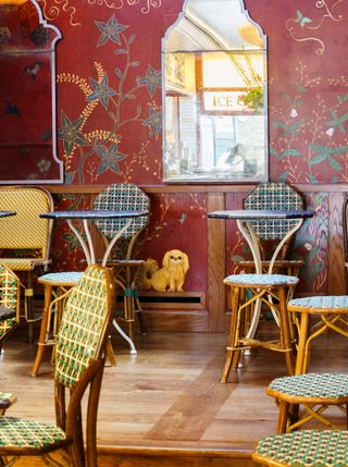 Birley Chocolate shop interior