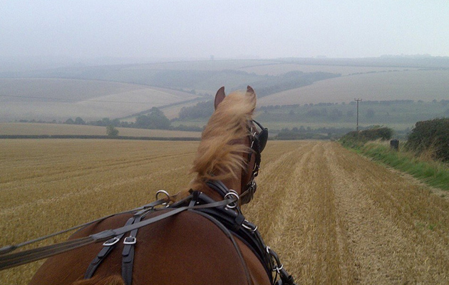 drivingthroughears