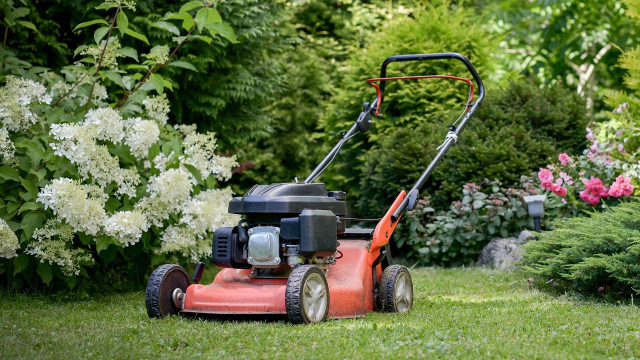 A lawnmower in an ornamental garden