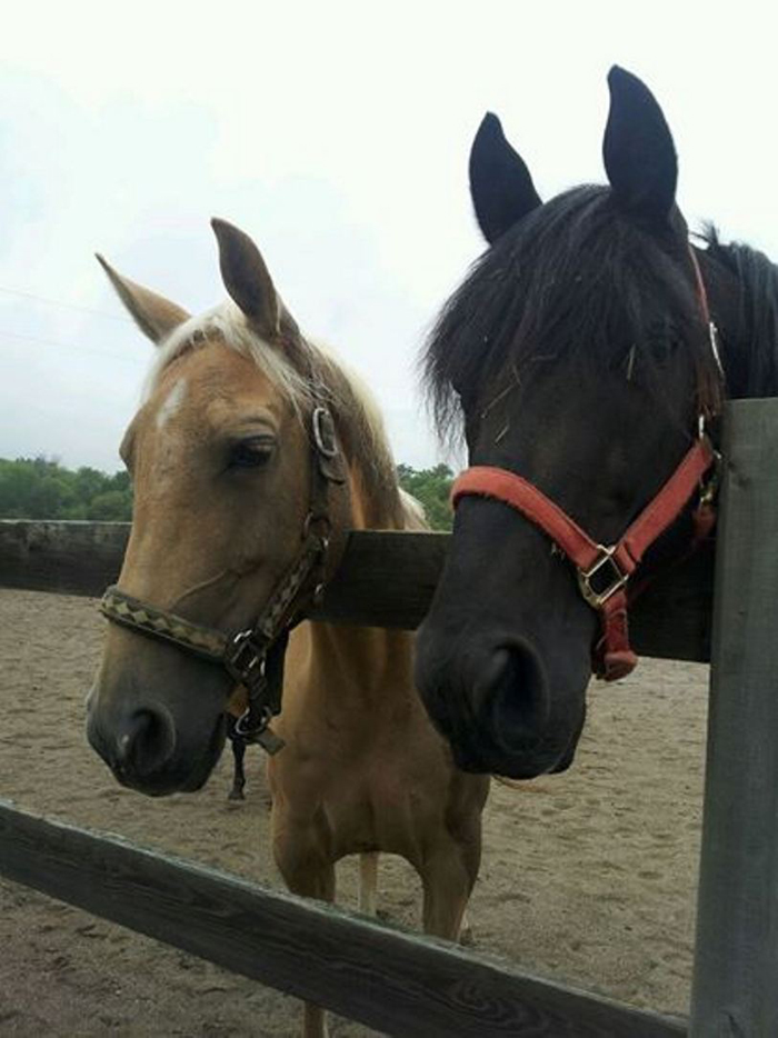 Major and his friend Amber.