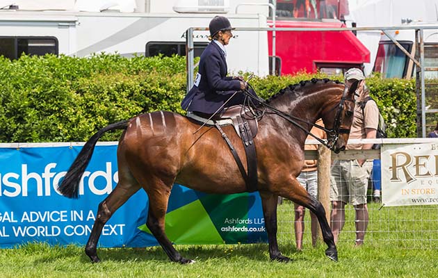 Devon County Show 2018
