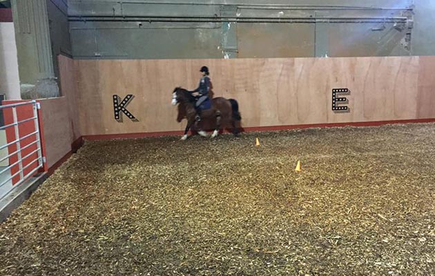 park-palace-ponies-arena2.jpg