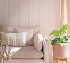 Pink sofa beside pink plant pot in front of pink panelled wall