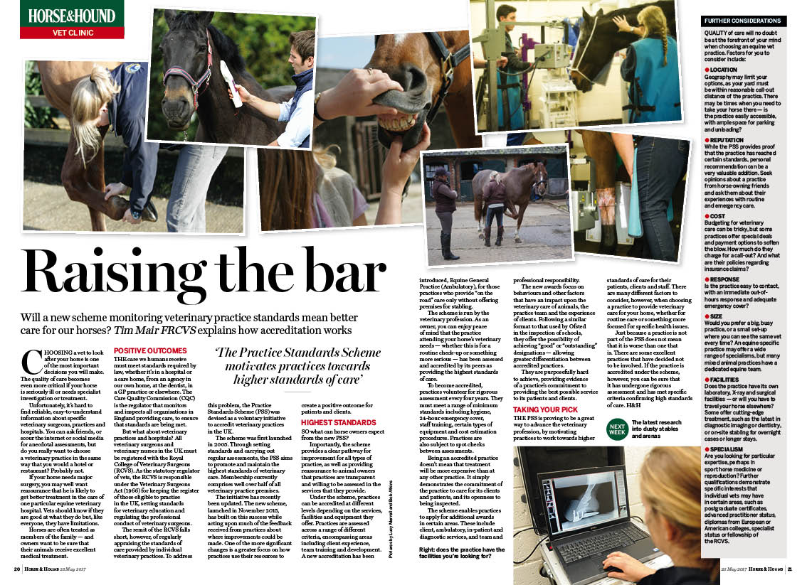 VET-2pp-new-equine-practice-stan.jpg