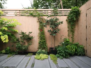 A backyard fence with a range of plantings