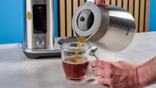 the breville luxe brewer (sage luxe brewer in the UK) thermal carafe version with a silver metal carafe and filter basket and removable plastic water tank showing the range of filter baskets and paper filters with a dial to control brew