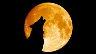 The deep-winter wolf moon