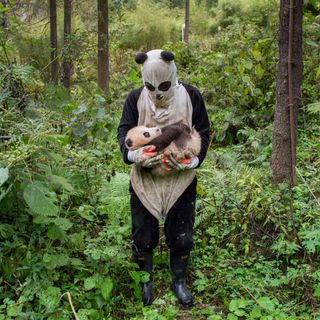 woman in a panda suit holding a panda