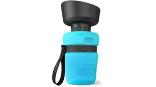 Pet water bottle