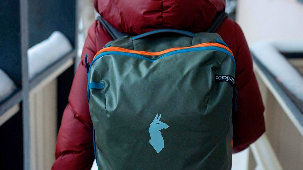 The Best Travel Backpacks 2020 Tom's Guide
