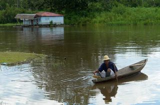 An Amazon fisherman.