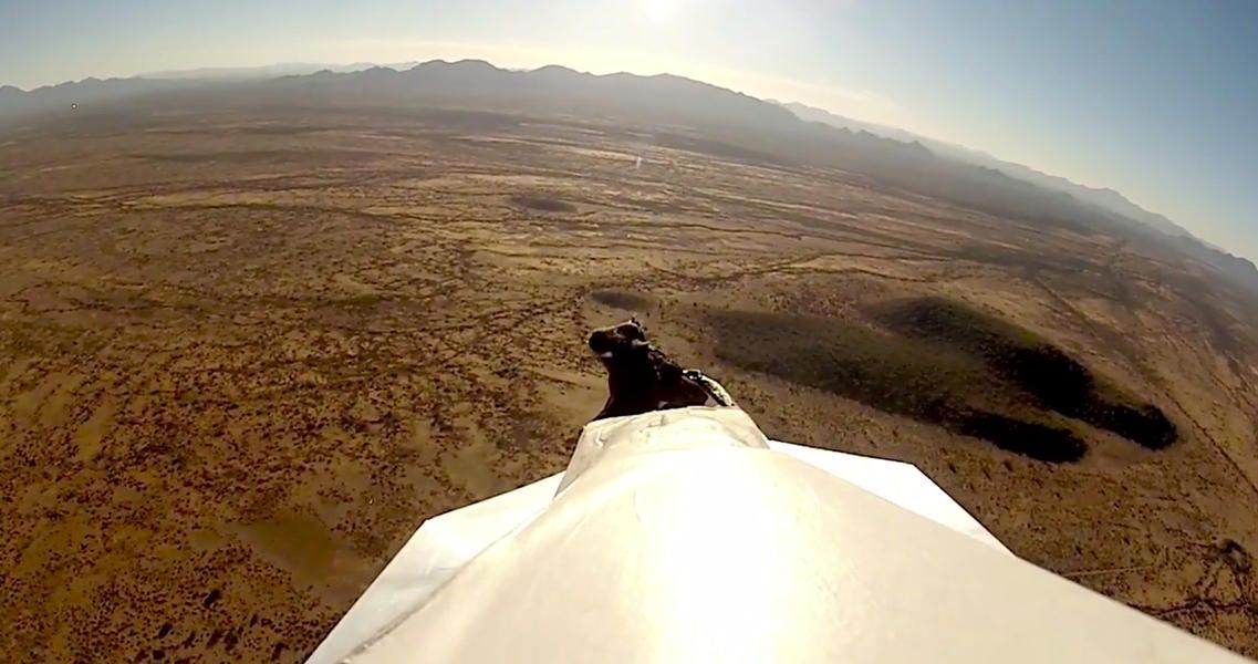 Camera captures a 45-foot paper airplane&amp;#039;s graceful flight &amp;amp;mdash; and crash