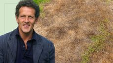 picture of burnt grass in garden and cut out of monty don over top