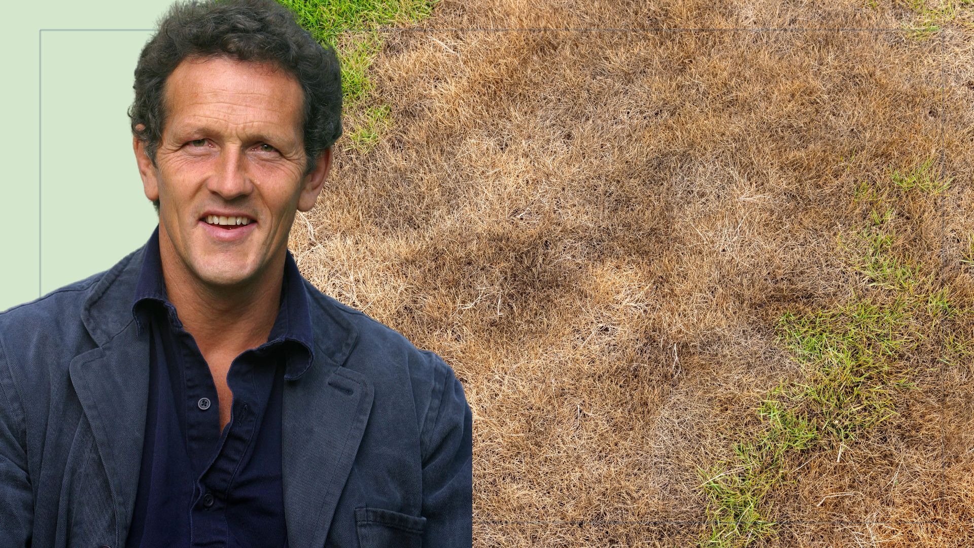 picture of burnt grass in garden and cut out of monty don over top