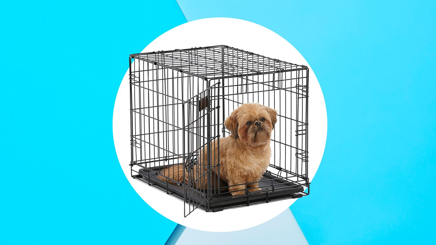 best dog crate