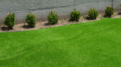 artificial lawn showing signs of buckling and bulging