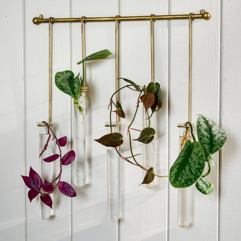 Lila Hanging Glass Wall Vase