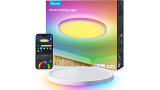 Govee Ceiling Light