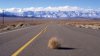 Tumbleweed on desert road