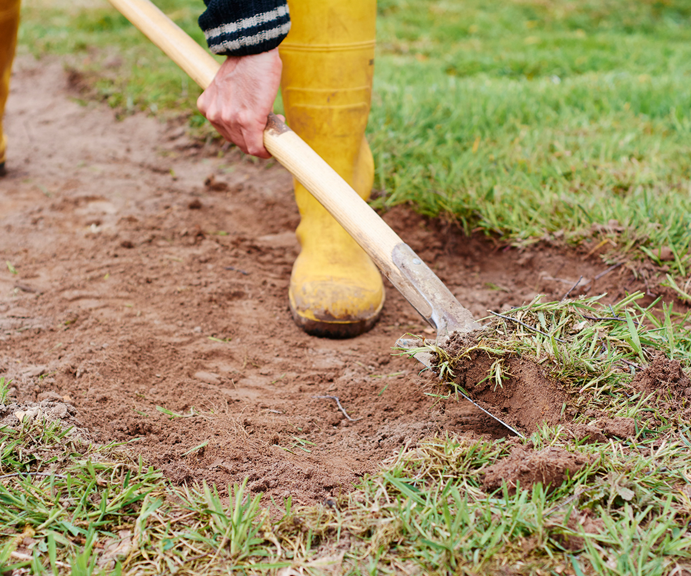 Digging out old grass to prepare for laying new turf