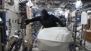 A gorilla appears to climb out of a cargo back on the International Space Station.