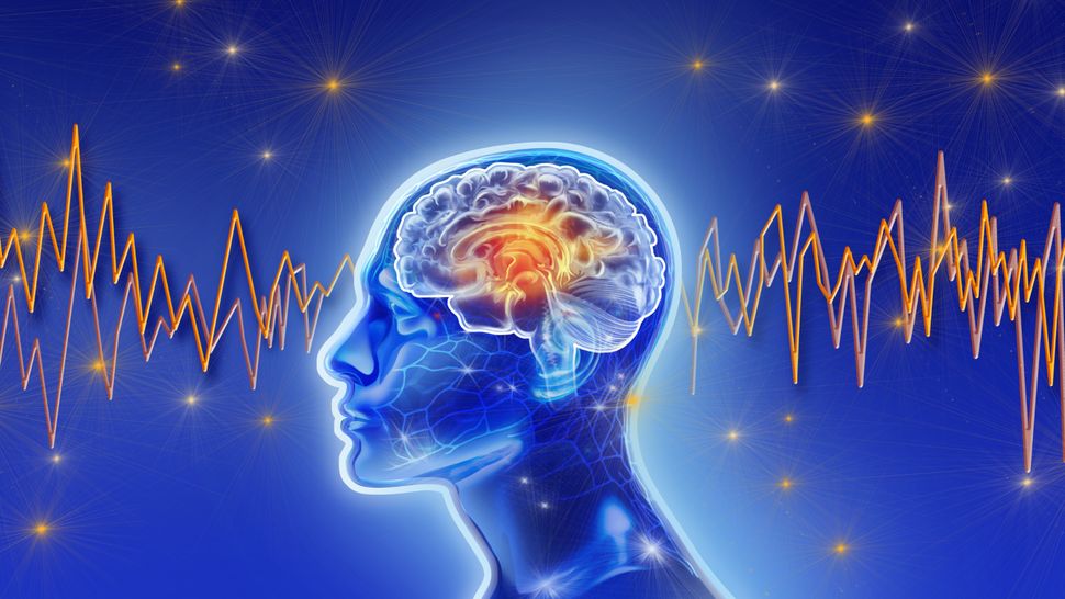 Why does your mind goes 'blank'? New brain scans reveal the surprising ...
