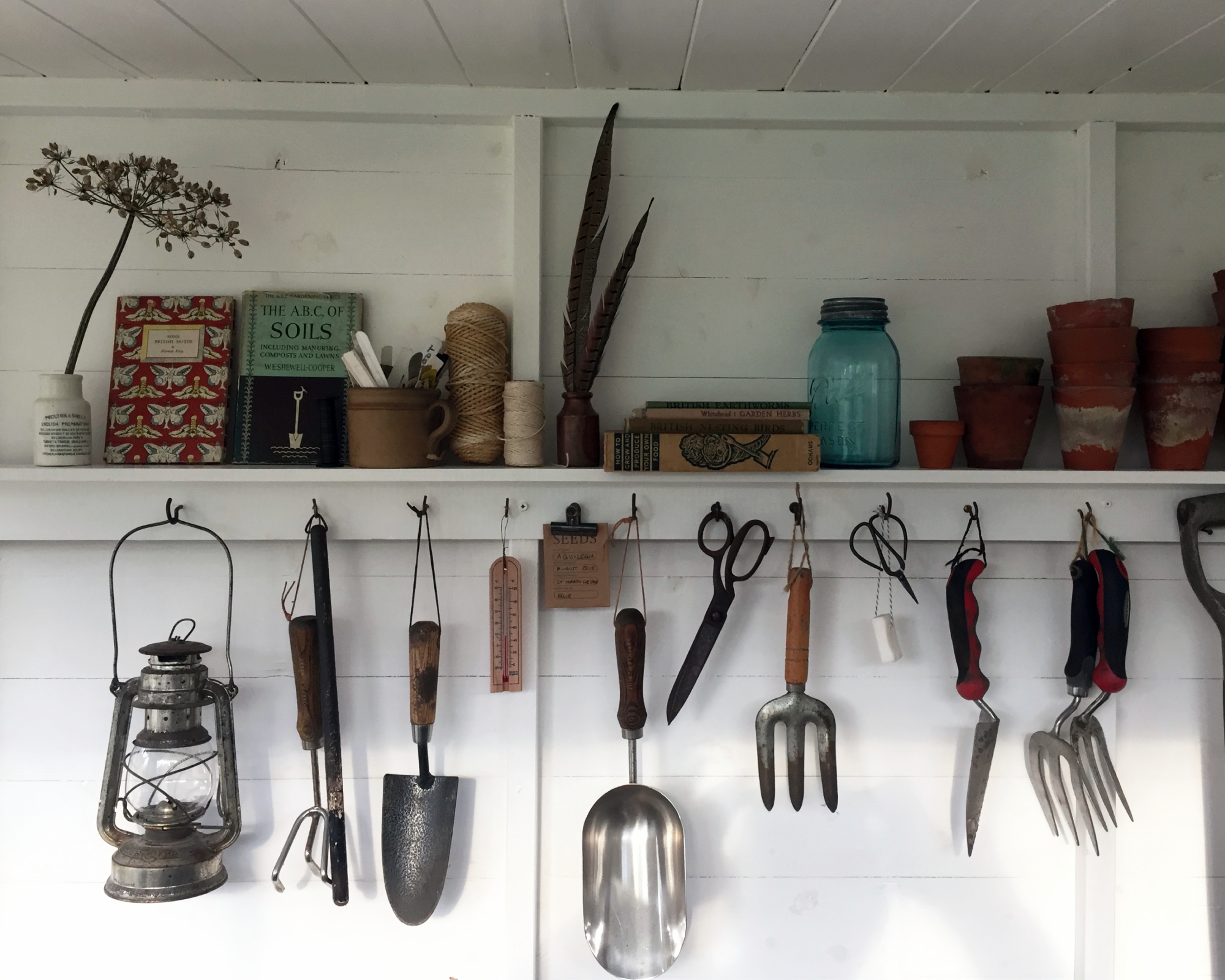 shed storage solution