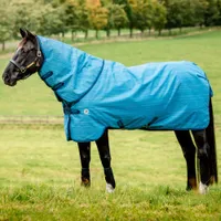Horseware Amigo Hero Revive 200g | Save 25%Was £149.95 Now £112.46 Horseware Amigo Hero Revive 200g | Save 25%Was £149.95 Now £112.46
