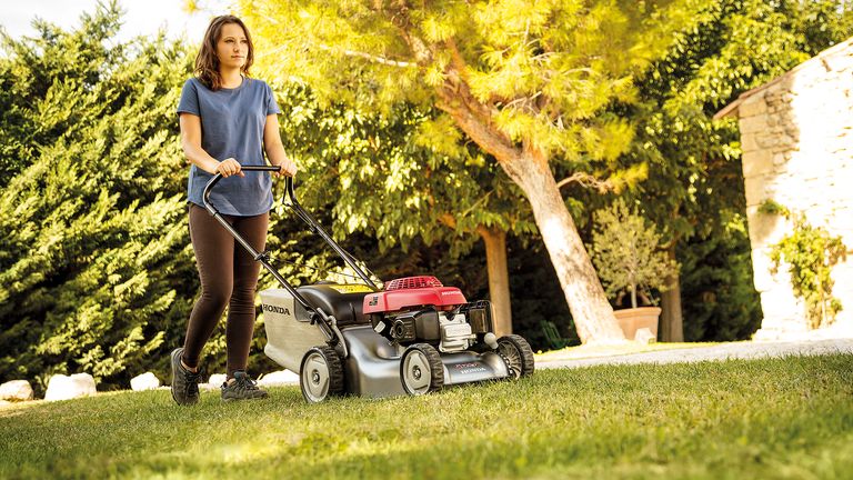 Best Petrol Lawn Mower 2020 The Best Lawnmowers For Stripes And