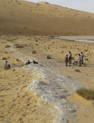 A view of Al Wusta, Saudi Arabia, where archaeologists found the fossilized finger of a Homo sapiens. The Nefud Desert's sand dunes surround the ancient lake bed (white).