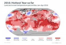 Global temperatures Jan-Apr 2016