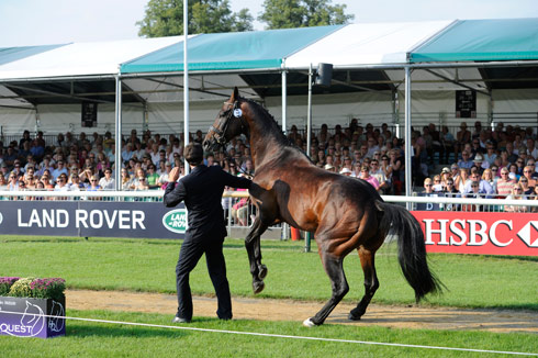Kai Ruder with Leprince Des Bois at the first vet check at The Land Rover Burghley Horse Trials, Stamford UK, September, 2013
