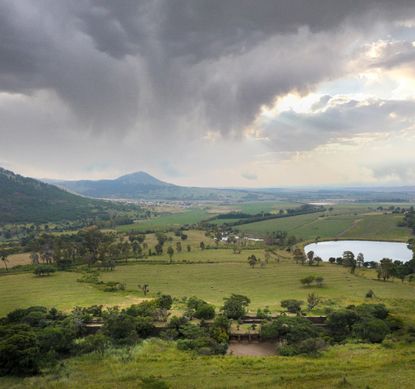 Coromandel House in South Africa by Marco Zanuso, engulfed in greenery