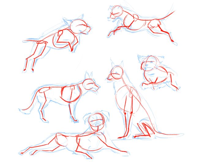 How to draw a dog | Creative Bloq