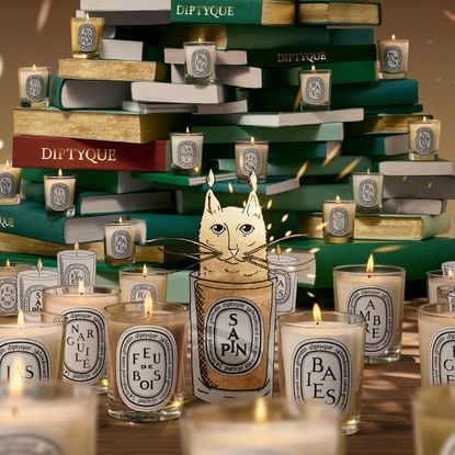 Diptyque holiday collection 2025 imagery with stacked books, lit candles, and illustrated cat image