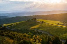 Castiglion del Bosco winery in Montalcino, Italy