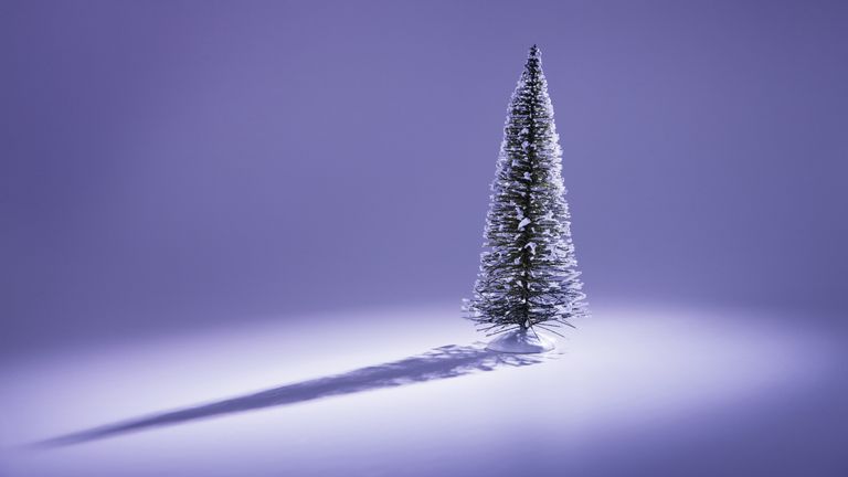 solo Christmas tree with shadow on purple background