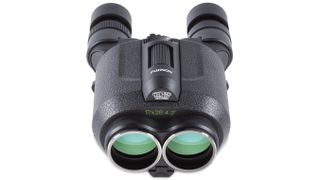 Best image-stabilized binoculars: Fujinon Techno-Stabi 12x28