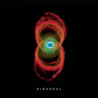 10. Binaurual (Epic, 2000)