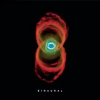 11. Binaurual (Epic, 2000)