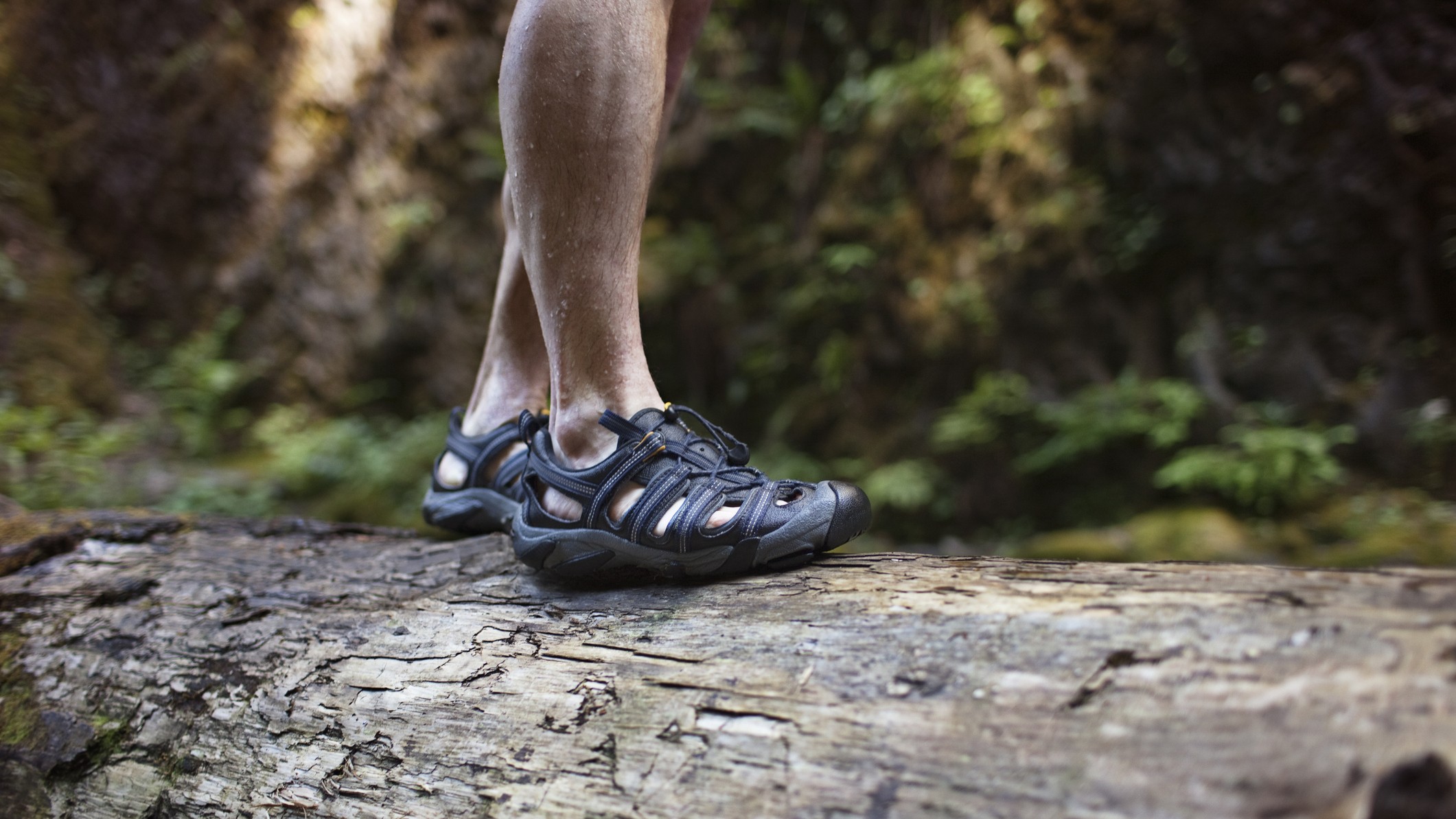 Shot of a person in walking sandals standing on a log in nature, framed below the knee 